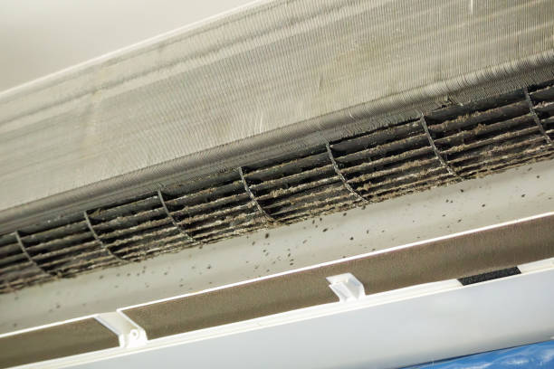 Best Air Duct Cleaning Near Me  in Prince Frederick, MD